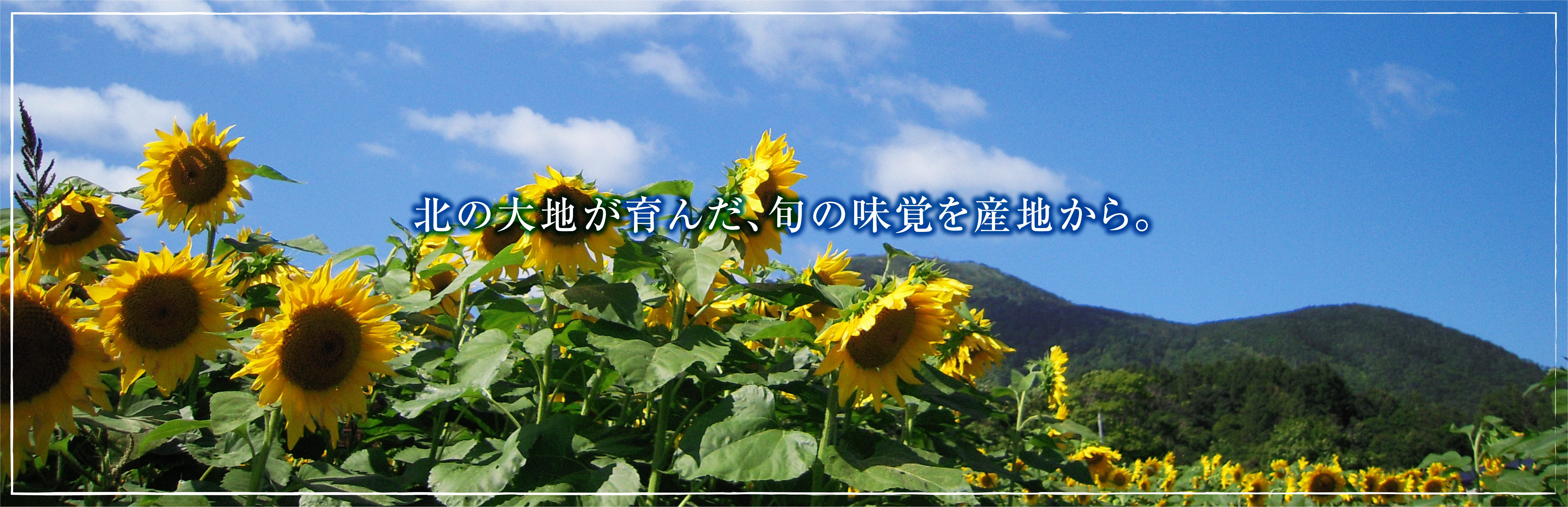 北海道産グルメ直送便ヘッドバナー