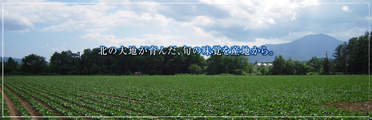 北海道産グルメ直送便ヘッドバナー