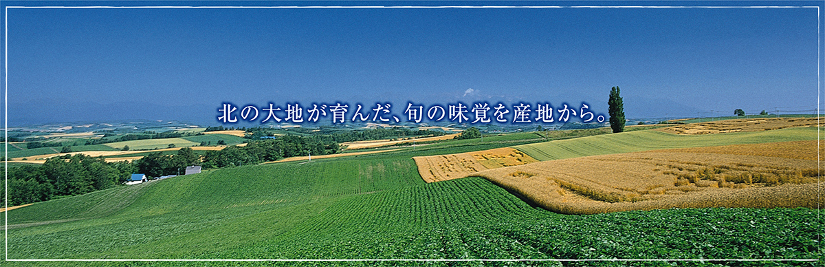 北海道産グルメ直送便ヘッドバナー