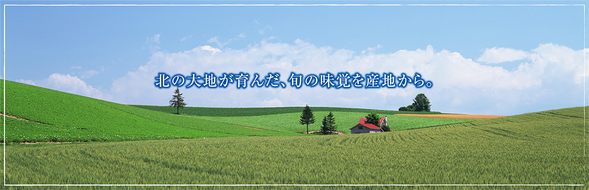 北海道産グルメ直送便ヘッドバナー