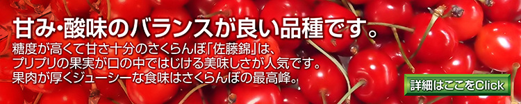 さくらんぼ産直販売「北海道産グルメ直送便」
