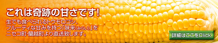 とうもろこし産直販売「北海道産グルメ直送便」